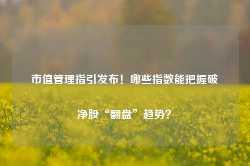 市值管理指引发布！哪些指数能把握破净股“翻盘”趋势？-第1张图片-旅游攻略网