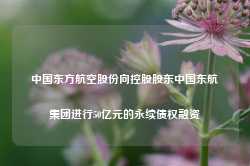 中国东方航空股份向控股股东中国东航集团进行50亿元的永续债权融资-第1张图片-旅游攻略网