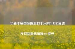 华新手袋国际控股将于2025年1月17日派发特别股息每股0.01港元-第1张图片-旅游攻略网