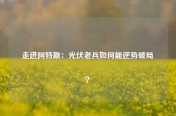 走进阿特斯：光伏老兵如何能逆势破局？-第1张图片-旅游攻略网