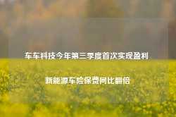 车车科技今年第三季度首次实现盈利 新能源车险保费同比翻倍-第1张图片-旅游攻略网