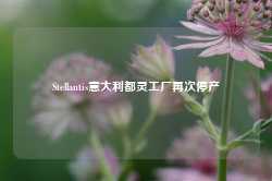 Stellantis意大利都灵工厂再次停产-第1张图片-旅游攻略网