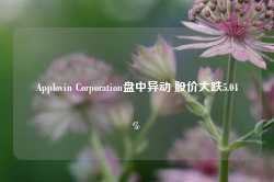 Applovin Corporation盘中异动 股价大跌5.04%-第1张图片-旅游攻略网