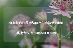 恢复供应还是继续限产？欧佩克+推迟线上会议 留出更多磋商时间-第1张图片-旅游攻略网