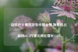 冠忠巴士集团发布中期业绩 股东应占溢利637.4万港元同比增长15.6%-第1张图片-旅游攻略网