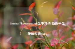 Sonoma Pharmaceuticals盘中异动 临近午盘股价大跌6.51%-第1张图片-旅游攻略网