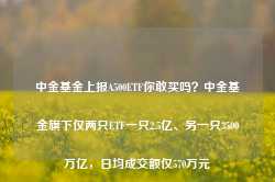 中金基金上报A500ETF你敢买吗？中金基金旗下仅两只ETF一只2.5亿、另一只3500万亿，日均成交额仅570万元-第1张图片-旅游攻略网