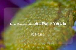 Terns Pharmaceuticals盘中异动 下午盘大幅拉升5.10%-第1张图片-旅游攻略网