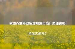 欧佩克意外政策或颠覆市场！原油价格将何去何从？-第1张图片-旅游攻略网