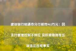 建设银行昭通市分行被罚90.8万元：因支付管理控制不到位 贷款被挪用等五项违法违规事实-第1张图片-旅游攻略网