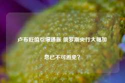 卢布贬值引爆通胀 俄罗斯央行大幅加息已不可避免？-第1张图片-旅游攻略网