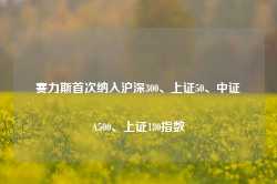 赛力斯首次纳入沪深300、上证50、中证A500、上证180指数-第1张图片-旅游攻略网