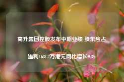 高升集团控股发布中期业绩 股东应占溢利1631.2万港元同比增长9.3%-第1张图片-旅游攻略网