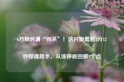 6万股民遭“闷杀”！这只股最后3分12秒惊魂跳水，从涨停板回撤9个点-第1张图片-旅游攻略网