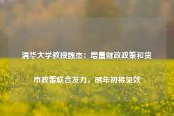 清华大学教授魏杰：增量财政政策和货币政策联合发力，明年初将见效-第1张图片-旅游攻略网