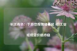 长江有色：下游悲观情绪蔓延 4日工业硅现货价格持稳-第1张图片-旅游攻略网