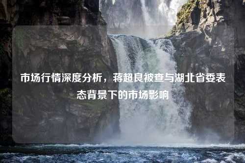 市场行情深度分析，蒋超良被查与湖北省委表态背景下的市场影响